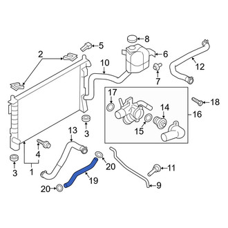 Lincoln OE - Lower Radiator Coolant Hose