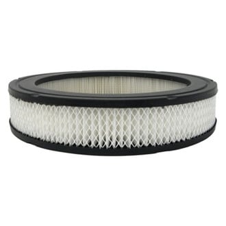 Luber-finer® - Air Filter