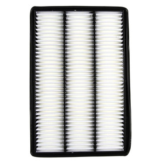 Mahle® - Air Filters