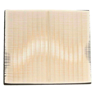 Mahle® - Air Filter