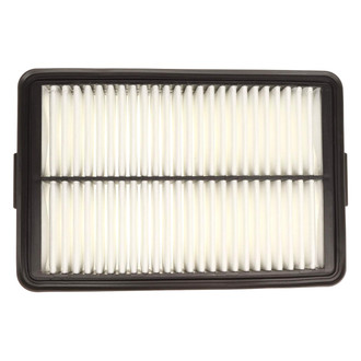 Mahle® - Air Filter