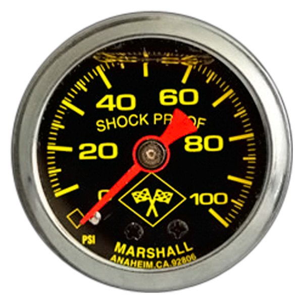 Marshall Instruments® - Mechanical Pressure Gauge, 100 PSI