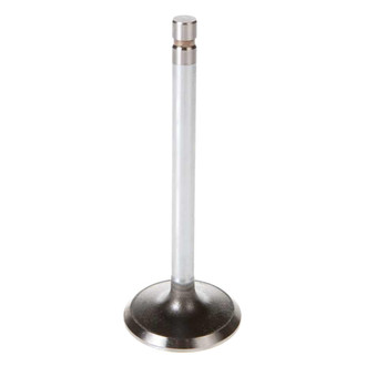 Melling® - Intake Valve