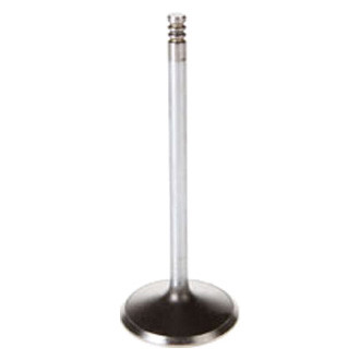 Melling® - Intake Valve