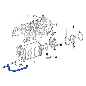 Mercedes-Benz OE - Intercooler Hose