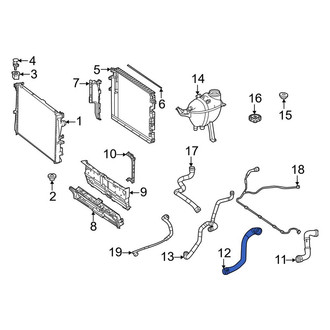 Mercedes-Benz OE - Left Radiator Coolant Hose