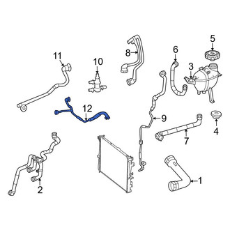 Mercedes-Benz OE - Lower Engine Coolant Overflow Hose