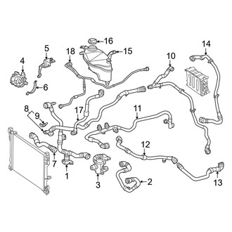 Mercedes-Benz OE - Cooling - Hoses & Lines (Front)