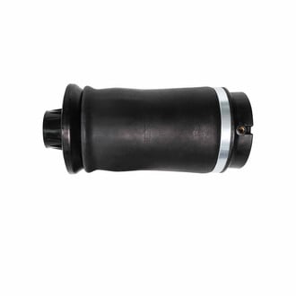 Monroe® - Rear Driver or Passenger Side Air Suspension Spring