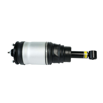 Monroe® - OESpectrum™ Rear Driver or Passenger Side Air Strut
