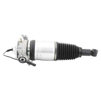 Monroe® - OESpectrum™ Rear Passenger Side Air Strut
