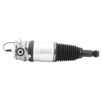 Monroe® - OESpectrum™ Rear Driver Side Air Strut