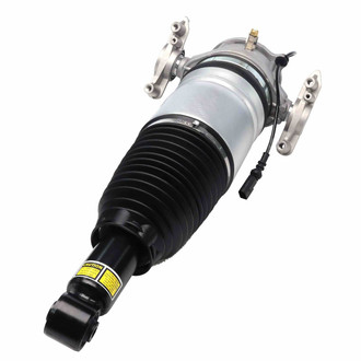 Monroe® - OESpectrum™ Rear Driver Side Air Strut