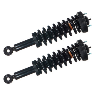 Monroe® - Magnum™ Loaded Front Strut Set