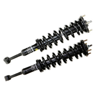 Monroe® - Magnum™ Loaded Front Strut Set