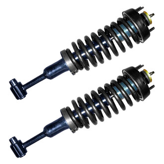 Monroe® - RoadMatic™ Complete Strut Assembly