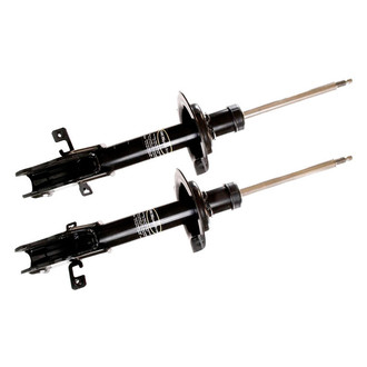 Monroe® - OESpectrum™ Front Strut Set