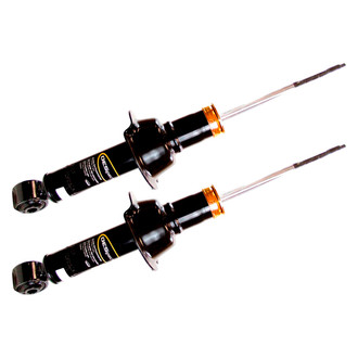 Monroe® - OESpectrum™ Rear Strut Set