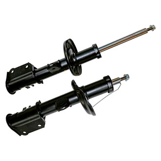 Monroe® - OESpectrum™ Front Strut Set