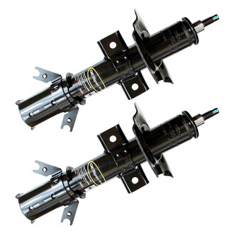 Monroe® - OESpectrum™ Front Strut Set