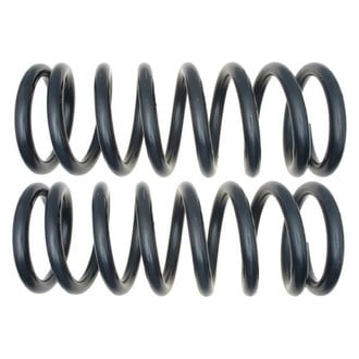 MOOG® - Problem Solver™ Rear Coil Springs
