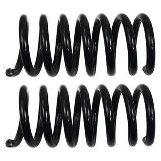 MOOG® - Problem Solver™ Rear Coil Springs