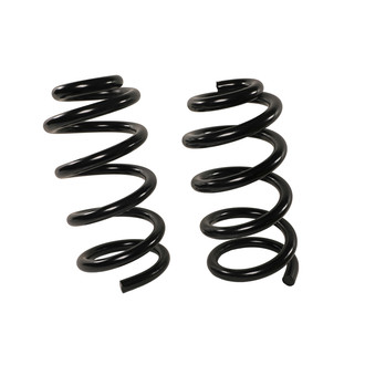MOOG® - Front Coil Springs