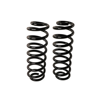 MOOG® - Rear Coil Springs