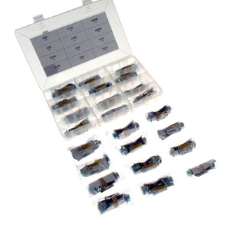MOOG® - Problem Solver™ Alignment Camber Bolt Assortment