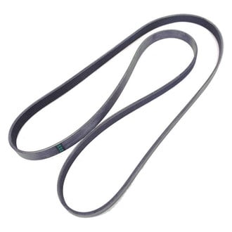 Ram OE - Serpentine Belt