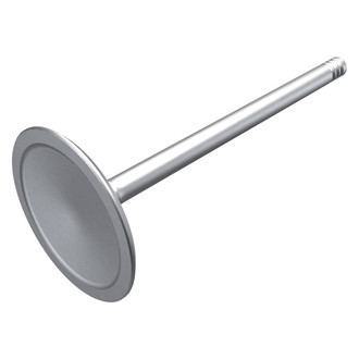 Mopar® - Intake Valve