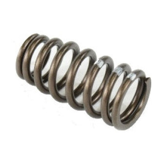 Mopar® - Intake Valve Spring