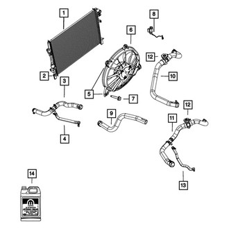 Mopar® - Engine Coolant Radiator Hose