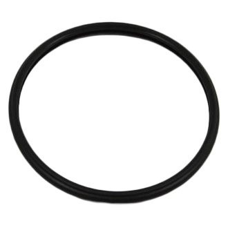 Ram OE - Engine Coolant Thermostat Seal