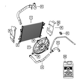 Dodge OE - Lower Radiator Coolant Hose