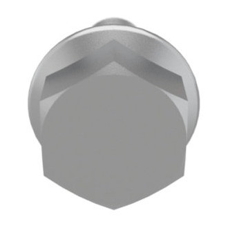 Mopar® - Oil Filter Housing Bolt