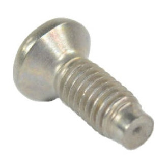Mopar® - Door Latch Screw