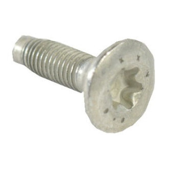 Mopar® - Outer Door Hinge Bolt