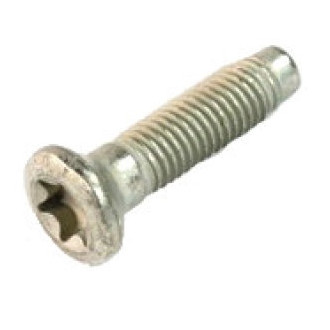 Mopar® - Outer Tailgate Hinge Bolt