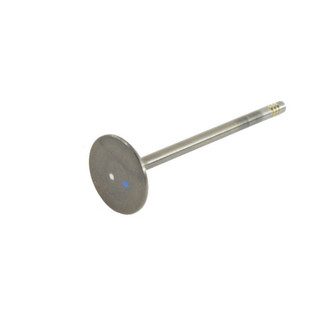 Mopar® - Intake Valve