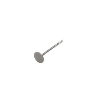 Mopar® - Intake Valve