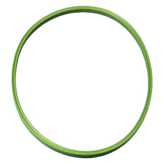 Jeep OE - Fuel Pump Tank Seal