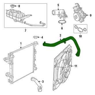 Mopar® - Engine Coolant Radiator Hose