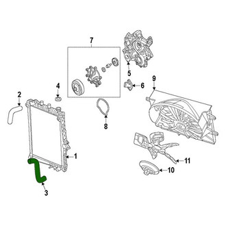 Ram OE - Lower Radiator Coolant Hose