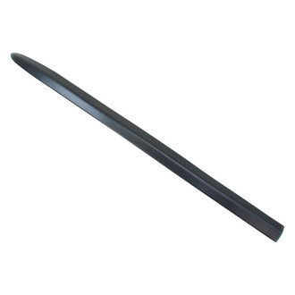 Dodge OE - Front Door Molding