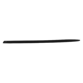 Mopar® - Door Molding