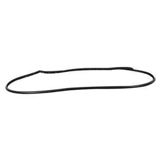 Mopar® - Driver Side Door Seal