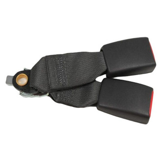 Mopar® - Rear Seat Belt Buckle Assembly