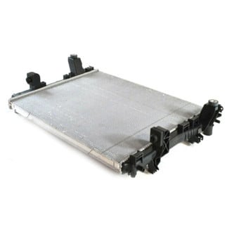 Ram OE - Radiator