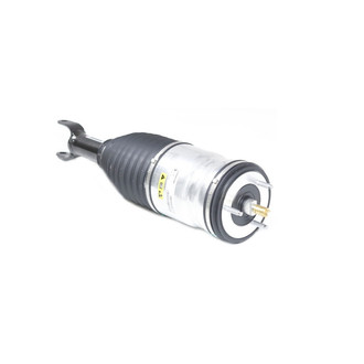 Mopar® - Driver Side Air Suspension Strut
